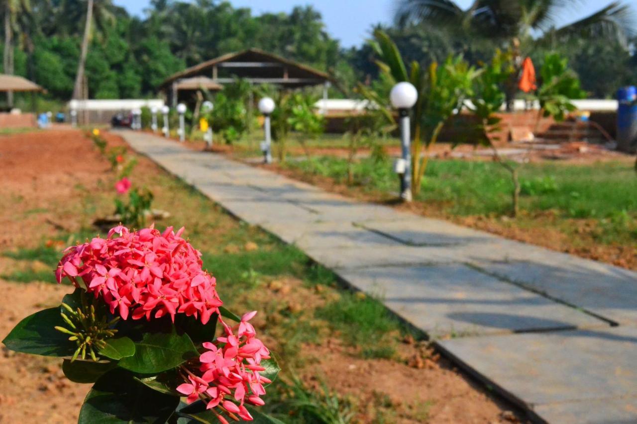 Radhika Eco Resort Arambol Luaran gambar