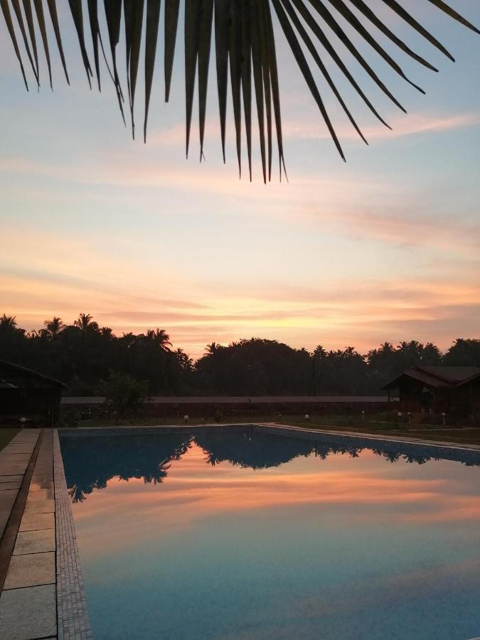 Radhika Eco Resort Arambol Luaran gambar